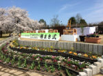 富山中央植物園種まき式